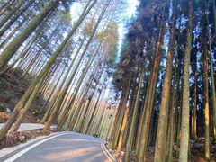 -山王坪喀斯特国家生态公园