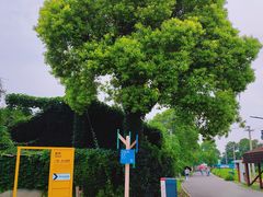 -嘉北郊野公园