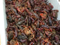 -江杨农产品批发市场