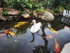 -罗红摄影艺术馆