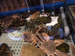 -开海·红岛海鲜虾水饺(石老人店)