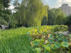 -莲湖公园