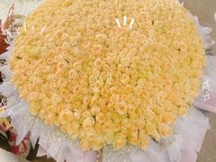 -双季花艺园艺市场(浦东店)