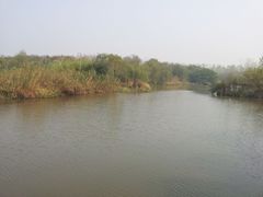-溱湖国家湿地公园