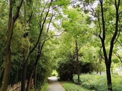 -新虹桥中心花园