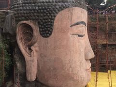 -乐山市博物馆