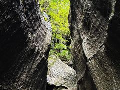 -梭布垭石林景区