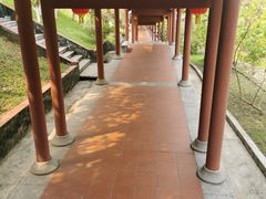 -广州神农草堂中医药博物馆