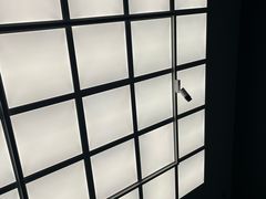-施泰德艺术馆