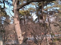 -沈阳市东陵公园