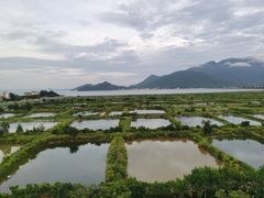 -途易晟曼湾度假酒店(大鹏店)