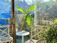大堂-吉丁鸟咖·异宠·寄养