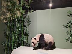 -深圳市当代艺术与城市规划馆