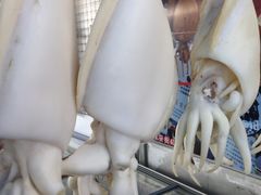 -大澳渔村及棚屋