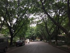 -西南政法大学(沙坪坝校区)