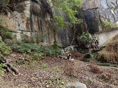 -铁山坪森林公园