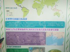 -北海金海湾红树林生态旅游区