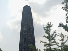 -上海佘山国家森林公园天马山园