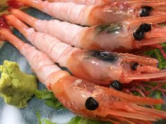 北极甜虾刺身-原田新料理(1912店)