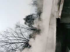 -特种渔场