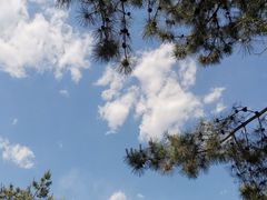 -颐和园