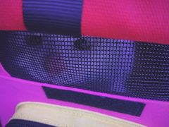 -宠颐生中康贝怡动物医院
