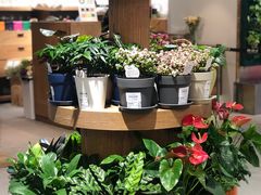 -鹿岛会员店 (龙湖三千集天街店)