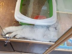 -乐宠宠物店(世纪金源店)