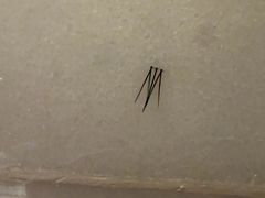 -北京国贸大酒店