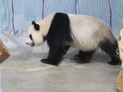 -海南热带野生动植物园
