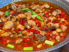 -老板恋上鱼(恒隆广场店)