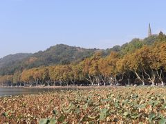 -北山街历史文化街区