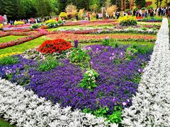 -深圳仙湖植物园