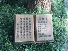 -南山风景名胜区