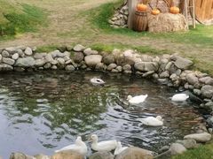 -HERRE·FARM 赫尔露营农场·团建聚会包场