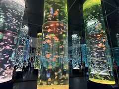 -海合安成都极地海洋公园