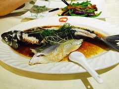 -金汇景海鲜酒家