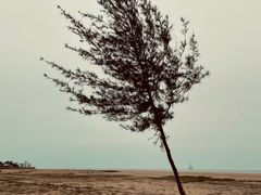 -白沙门生态公园