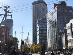 -三里屯东五街银杏大道