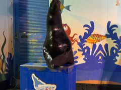 -太平洋海底世界