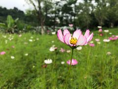 -福州大学(旗山校区)