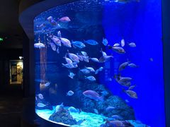 -成都浩海立方海洋公园