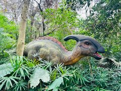 -海南热带野生动植物园