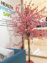 -馨美女性健康管理中心