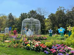 -上海共青森林公园