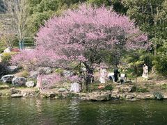 -中国茶叶博物馆(双峰馆区)