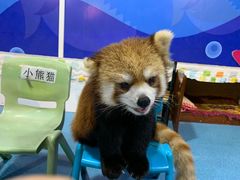 -秦皇岛新澳海底世界
