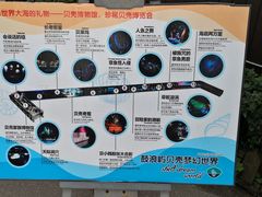 -贝壳梦幻世界