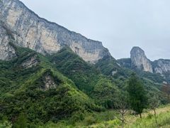 -鹿院坪生态旅游景区