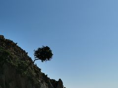 -花岙岛